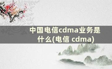 中国电信cdma业务是什么(电信 cdma)